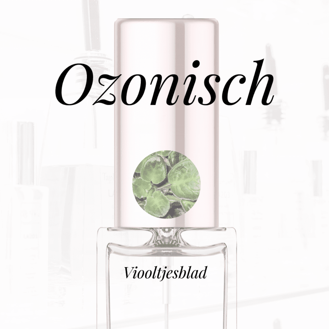 Eigenschappen
Geur: Ozonisch
Waarneembare geuren: Viooltjesblad
Sillage: Licht
Seizoen: Lente/Zomer
Eigenschap: Comfort
Stijl: Casual
Geurgroep: Bloemig Houtachtige Musk
Hoofdakkoorden: Ozonisch, Witte bloemen, Poederig, Acquatisch, Citrusvruchten
Top noten: Viooltjesblad, Bloed grapefruit en Aardbei
Midden noten: Gardenia, Viooltje en Jasmijn
Basis noten: Muskus, Witte houtsoorten en Vanille