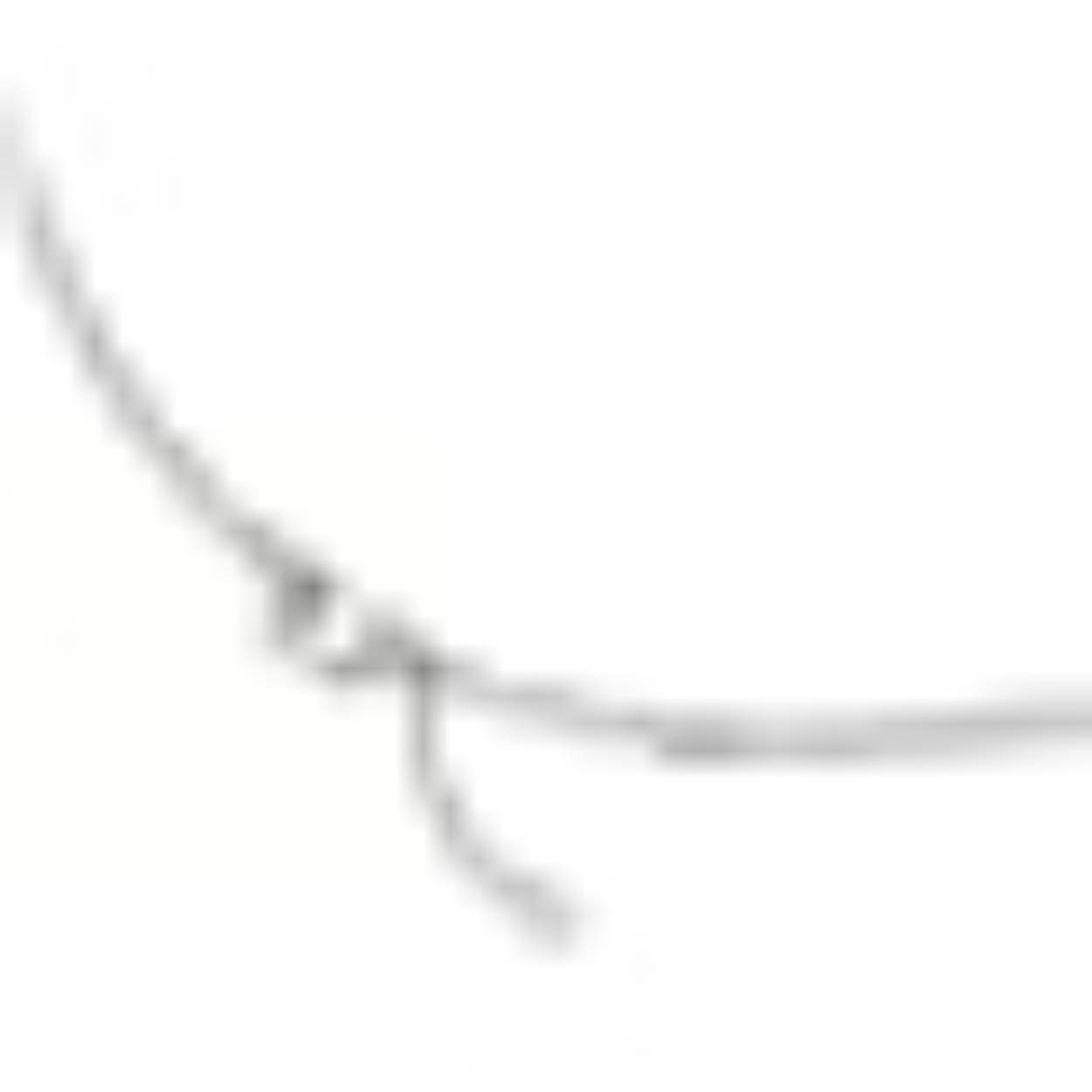 ketting