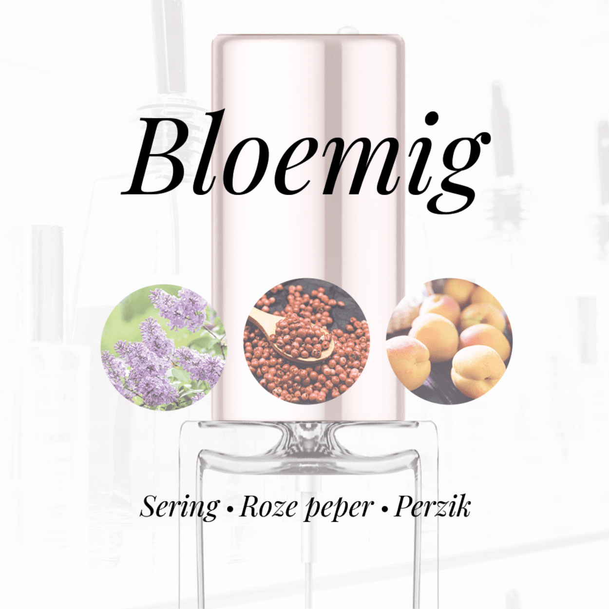 Eigenschappen
Geur: Bloemig
Waarneembare geuren: Perzik, Roze peper, Sering
Sillage: Midden
Seizoen: All season
Eigenschap: Populair
Stijl: Trendy
Geurgroep: Oriëntaals Bloemige
Hoofdakkoorden: Bloemig, Zacht kruidig, Zoet, Patchouli, Fruitig
Top noten: Mandarijn, Roze peper en Bergamot
Midden noten: Geranium, Perzik, Sering, Zwarte bes en Jasmijn
Basis noten: Patchouli, Amber, Vanille en Witte musk
