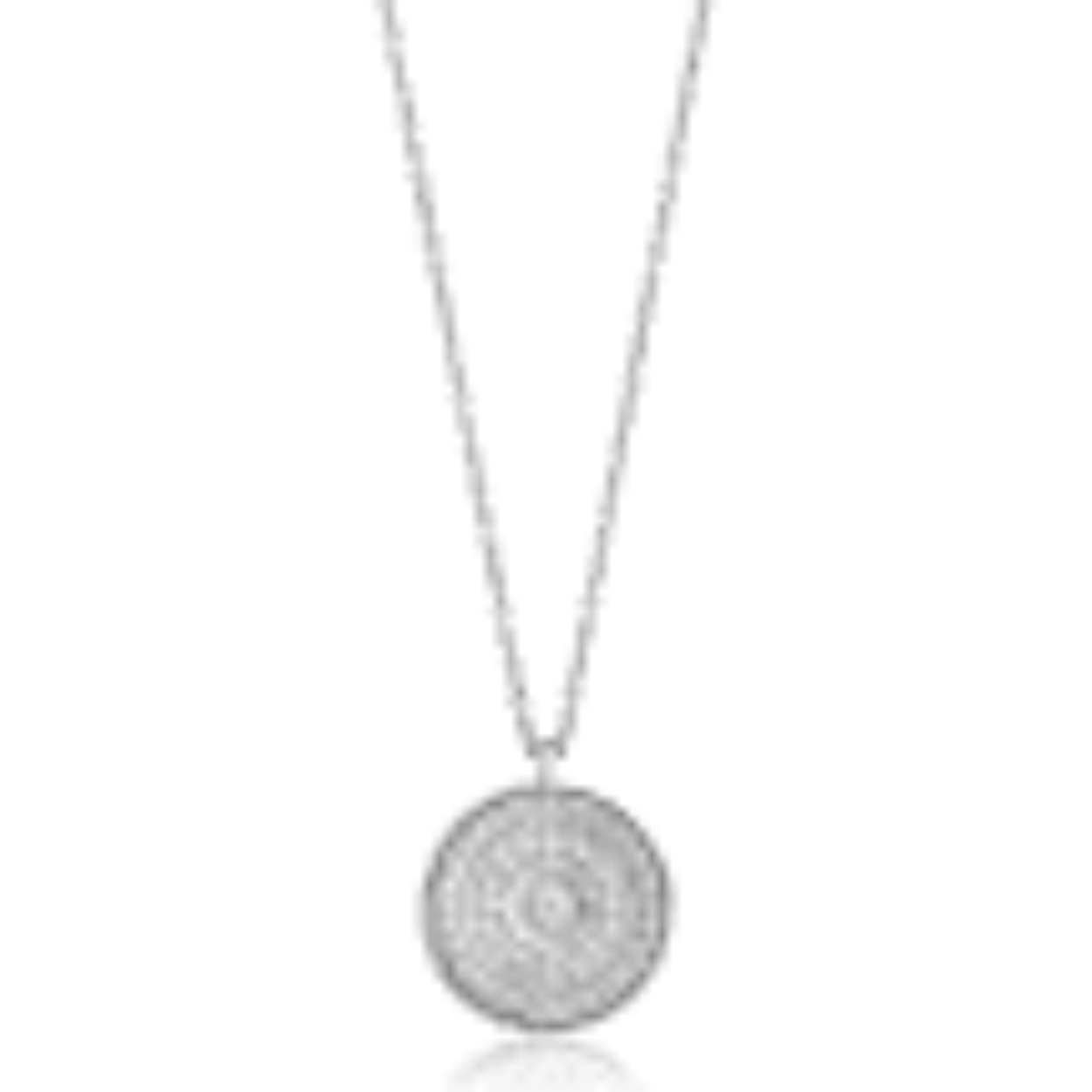 zilver collier met muntje.