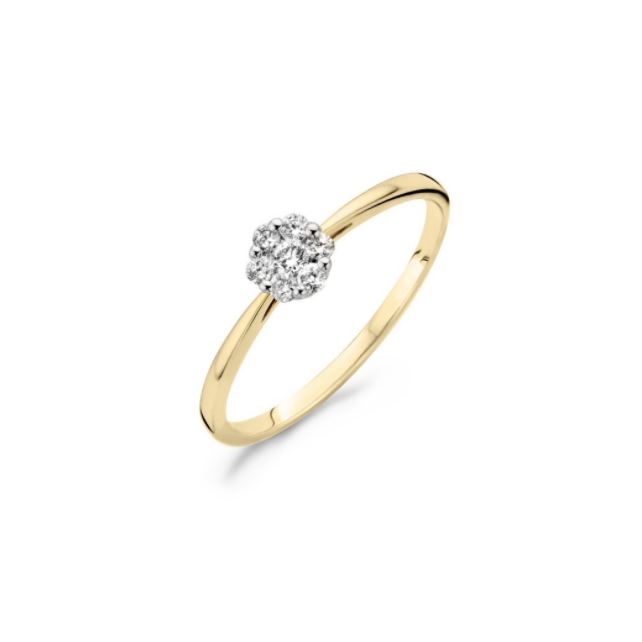 Blush Jewels worden met zorg, liefde en oog voor detail gemaakt van 14 karaat goud. Deze 14 karaat geel gouden Blush ring { 1611BDI } is uitgevoerd in glanzend gepolijst geel goud en voorzien van een briljant geslepen witte diamanten in rozet vorm met een diameter van 5,2 millimeter in witgouden zetting. Solitair gedragen zorgt de ring voor een elegant-vrouwelijke uitstraling. Voor een vrouwelijk-geraffineerd effect draag je deze 1,5 millimeter brede ring gecombineerd met meerdere Blush ringen, als aanschuifring.