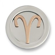 Mi moneda Ram MI-RAM-03-S