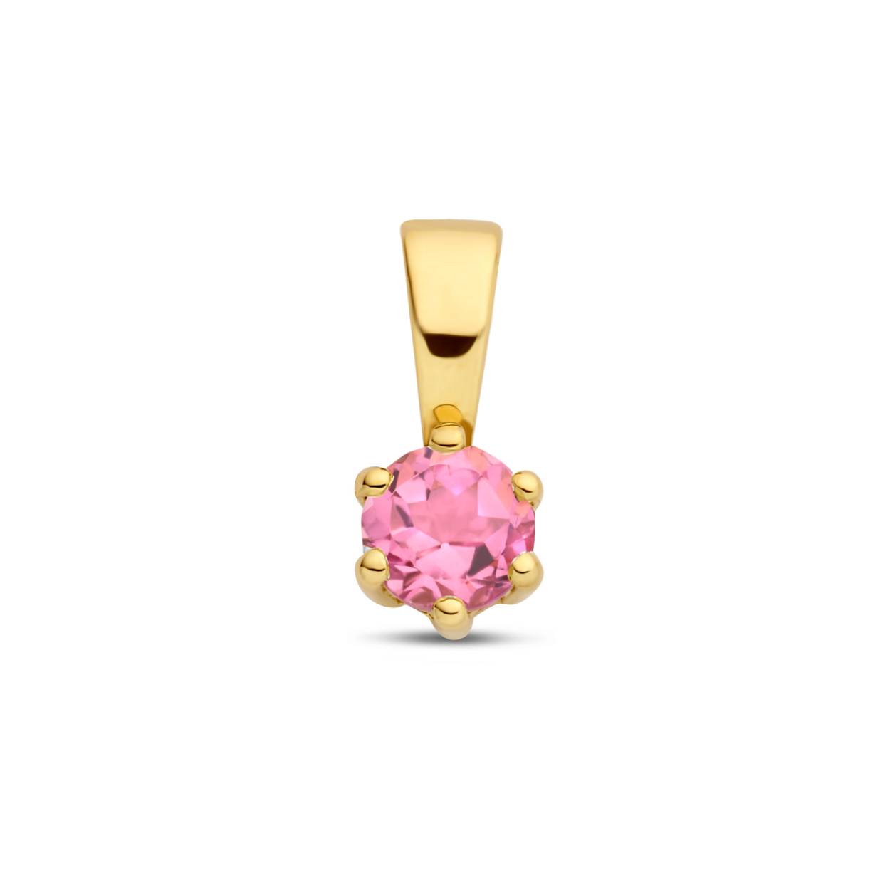 14k Geelgouden geboortesteen hanger uitgevoerd met een schitterende steen. De hanger heeft een afmeting van 9x4.2mm.
