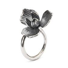 Prachtige ring van het merk Trollbeads