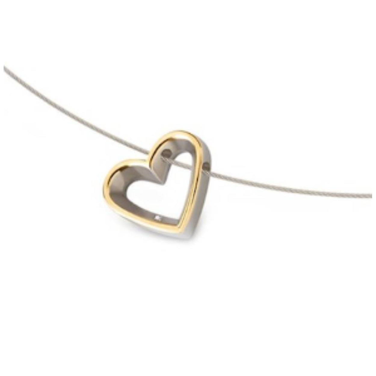 Deze hartvormige hanger is exclusief collier