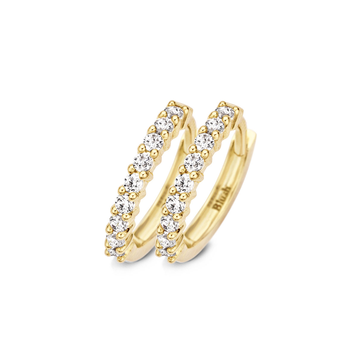 Blush Oorbellen 7166YZI in geel Goud (14Krt.) met Zirconia.