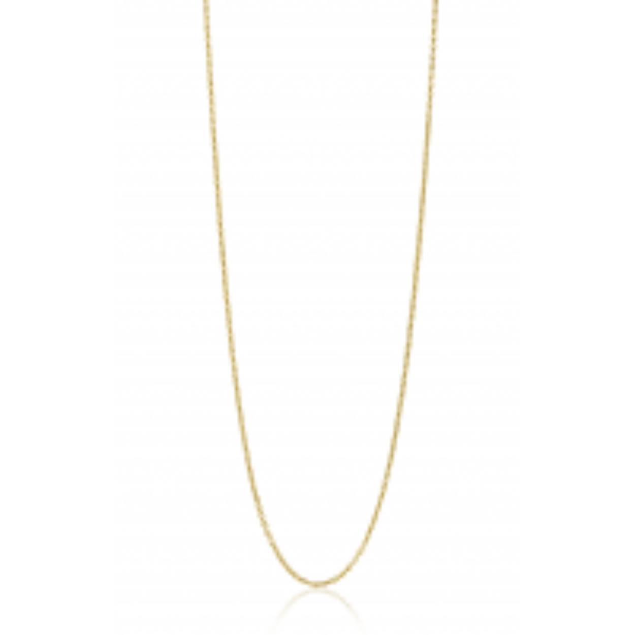 ZINZI Gold 14krt anker ketting 0,9mm breed, ideaal om je hanger aan te bevestigen. De lengte van het collier is 42cm. 

Referentienummer: ZGLA42-09