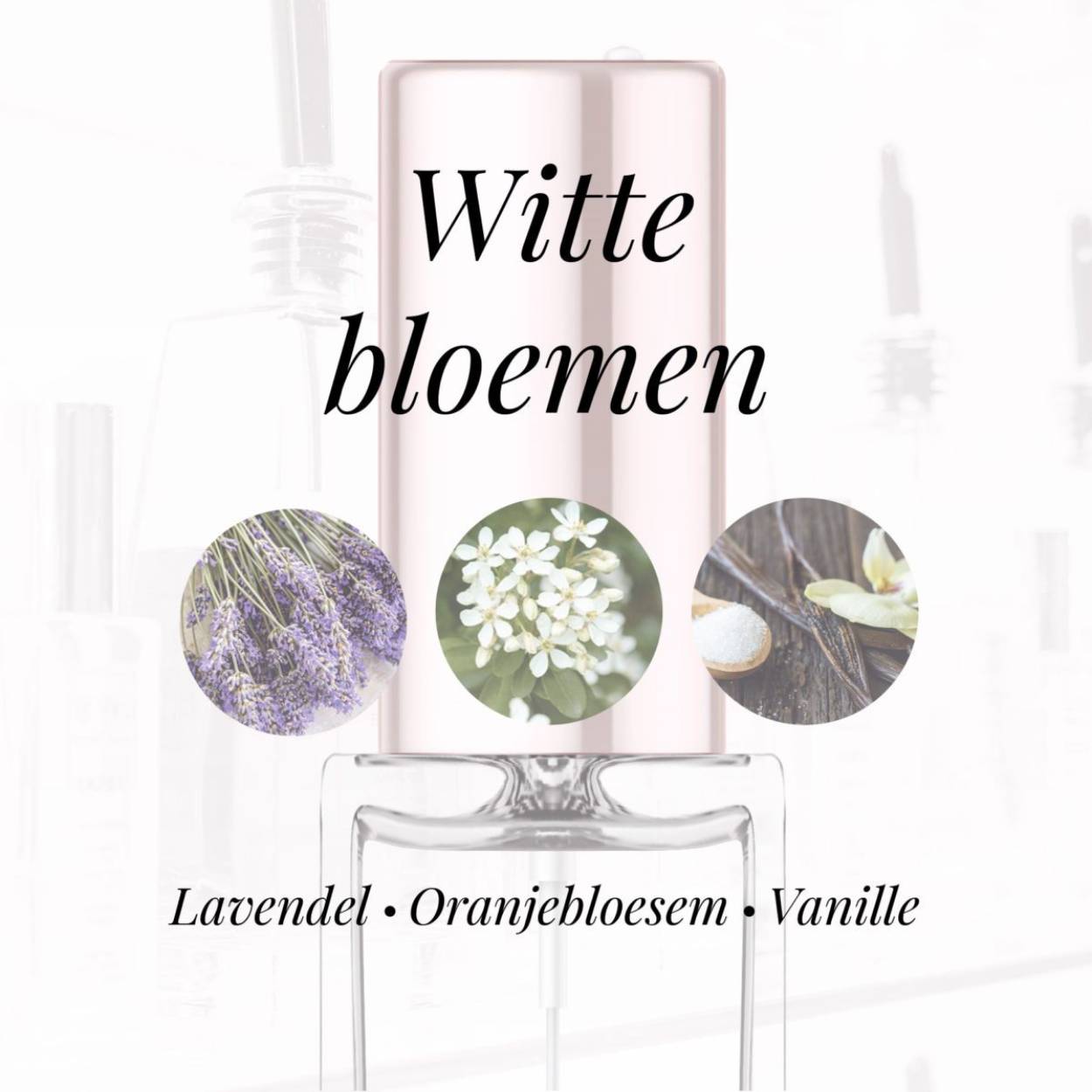 Eigenschappen
Geur: Witte bloemen
Waarneembare geuren: Lavendel, Oranjebloesem, Vanille
Sillage: Zwaar
Seizoen: Lente/Zomer
Eigenschap: Spontaan
Stijl: Trendy

Geurgroep: Witte bloemen
Hoofdakkoorden: Witte bloemen, Aromatisch, Bloemig, Citrus vruchten, Vanille, Fris, Fruitig
Top noten:Manderijn, Lavendel, Zwarte bes, en Petitgrain olie
Midden noten: Jasmijn, Lavendel en Oranjebloesem
Basis noten: Madagascar Vanille, Ceder, Ambergris,Muskus
