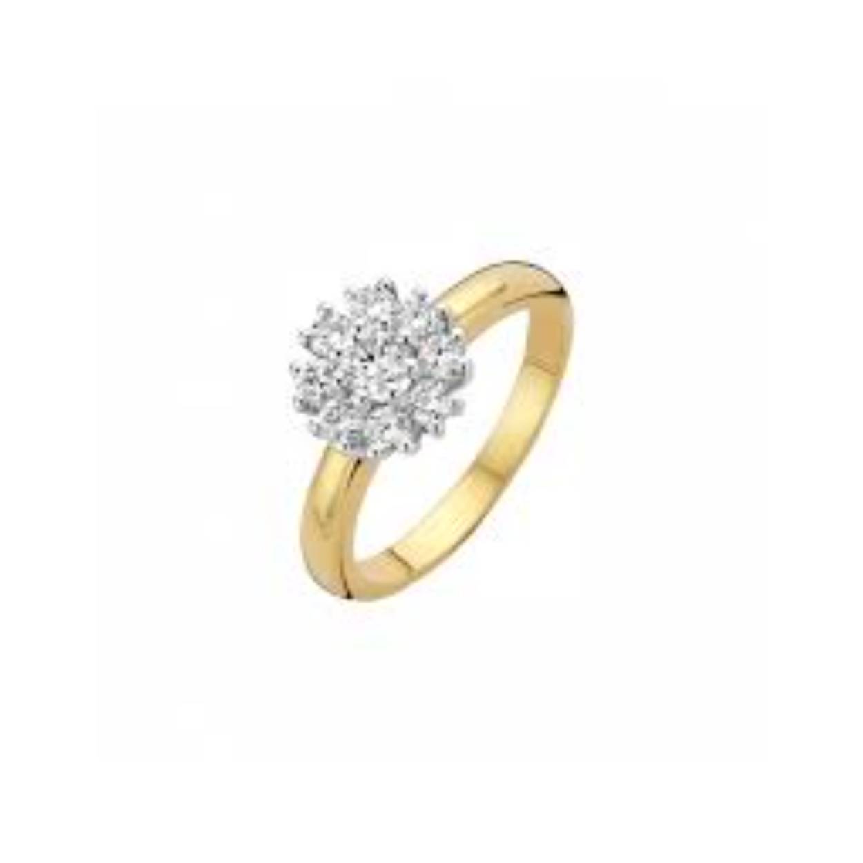 14 karaats geel- witgouden entourage ring met diamant
Enkel entourage met een bolle band 0.35 crt diamant maat 17,5
verkrijgbaar in diverse maten