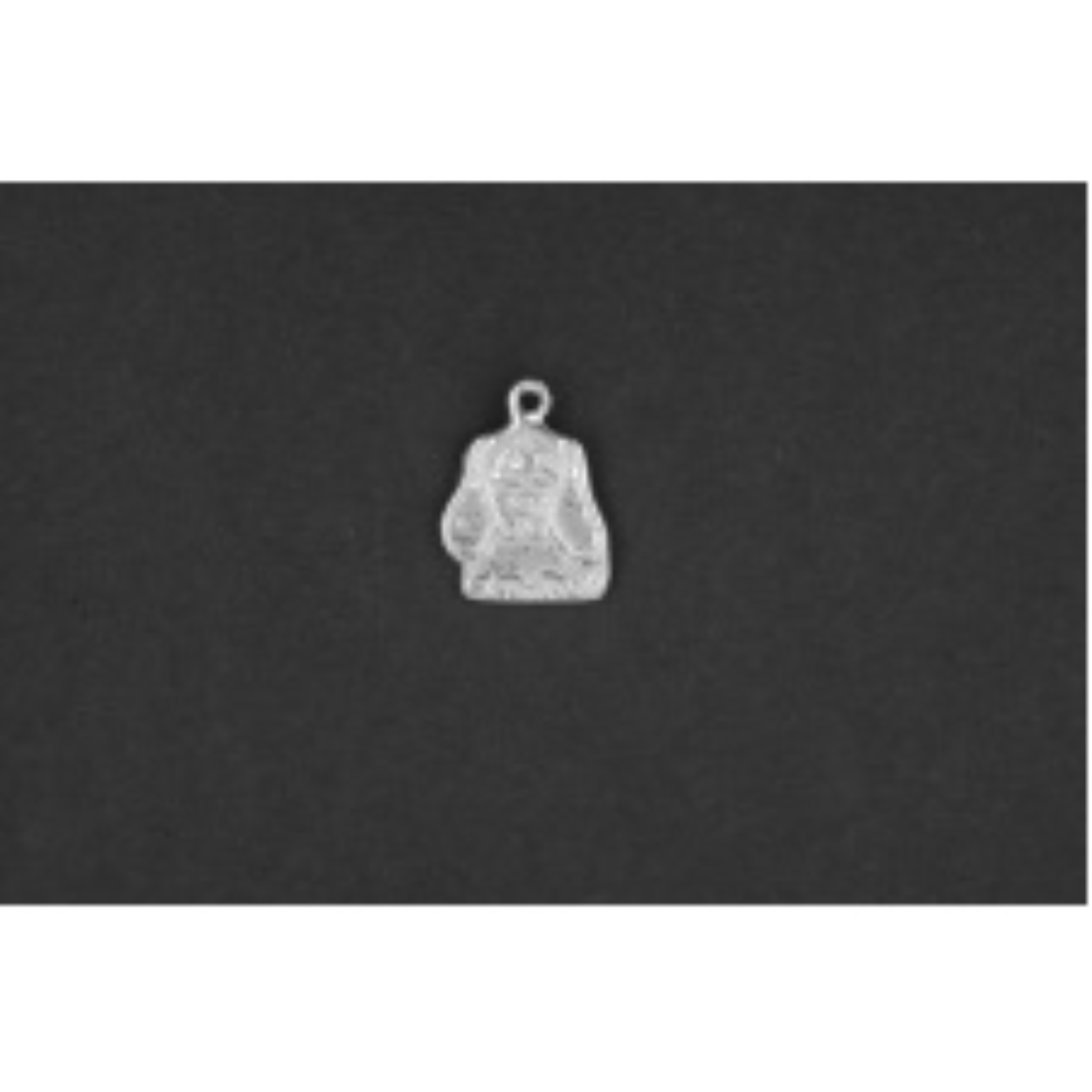 Hondje zilver
De bedel maat is in mm Lengte x Hoogte
± L 10.53 x H 14.28