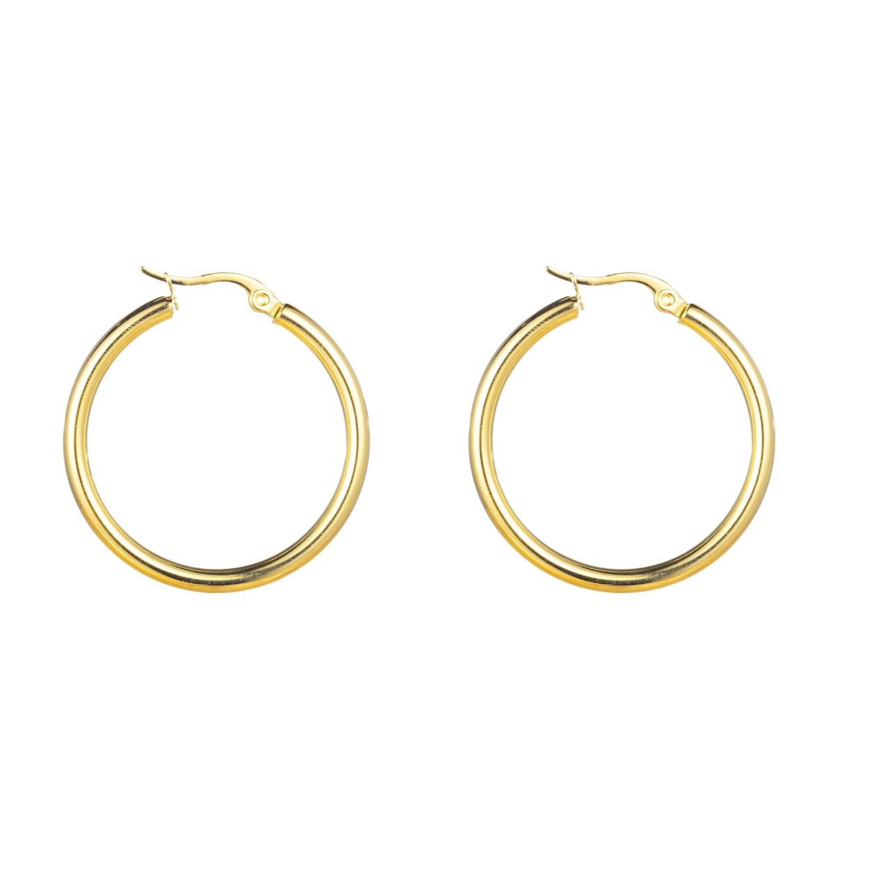 Deze prachtige oorringen van Day & Eve zijn gemaakt van roestvrij staal met een 14K vergulde coating. Ze hebben een afmeting van 30x3mm en zijn perfect voor dagelijks gebruik of voor een avondje uit. De oorringen hebben een subtiele glans en zijn licht van gewicht, waardoor ze comfortabel zijn om de hele dag te dragen. Combineer ze met je favoriete outfit voor een stijlvolle look.