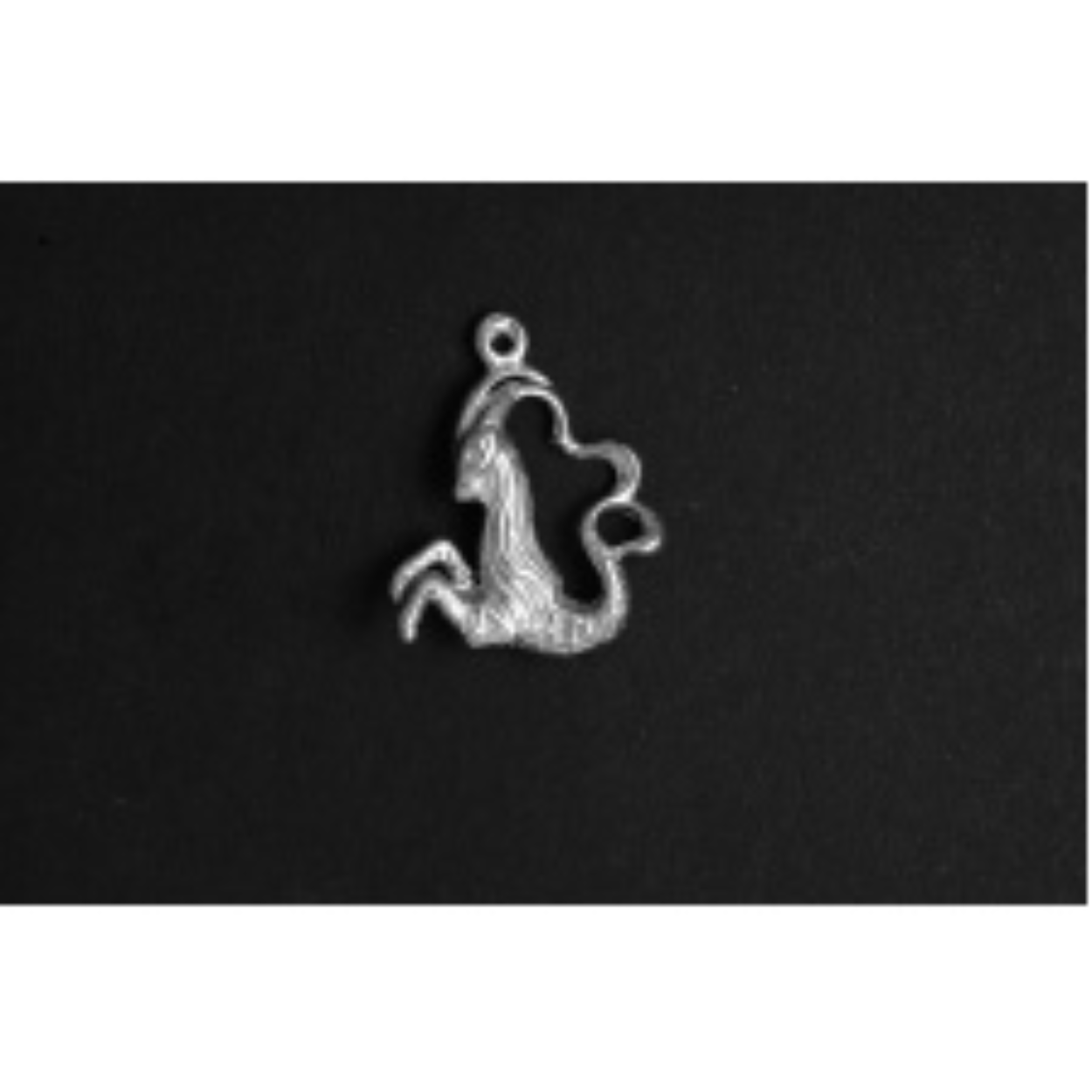 Sterrenbeeld Steenbok zilver
De bedel maat is in mm Lengte x Hoogte
± L 16.22 x H 20.39