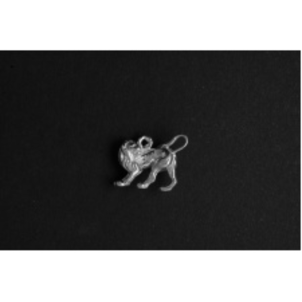 sterrenbeeld leeuw
De bedel maat is in mm Lengte x Hoogte
± L 18.62 x H 9.29