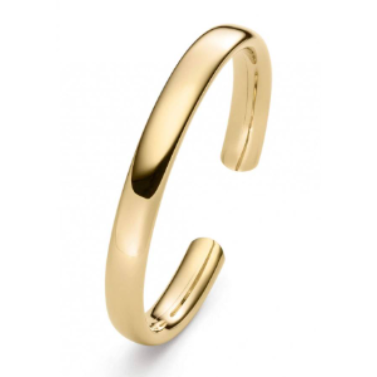 ISABELLE FA OVAL BANGLE 02130 9MM