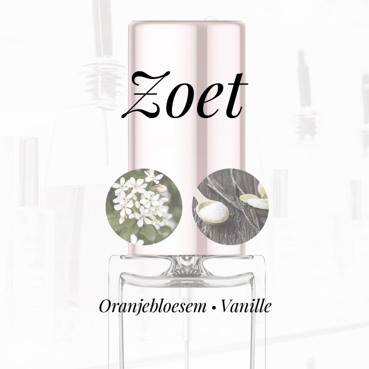 Eigenschappen
Geur: Zoet
Waarneembare geuren: Oranjebloesem, Vanille
Sillage: Zwaar
Seizoen: Herfst/Winter
Eigenschap: Sexy
Stijl: Stoer
Geurgroep: Oriëntaals Bloemige
Hoofdakkoorden: Zoet, Witte bloemen, Poederig, Bloemig, Vanille, Citrusvruchten
Top noten: Oranjebloesem, Mandarijn, Steranijs, Peer , Roos en Bergamot
Midden noten: Iris, Gember, Pruim, Orchidee, Ylang-Ylang en Tuberoos
Basis noten: Amber, Muskus, Vanille, Kaneel en Sandelhout
