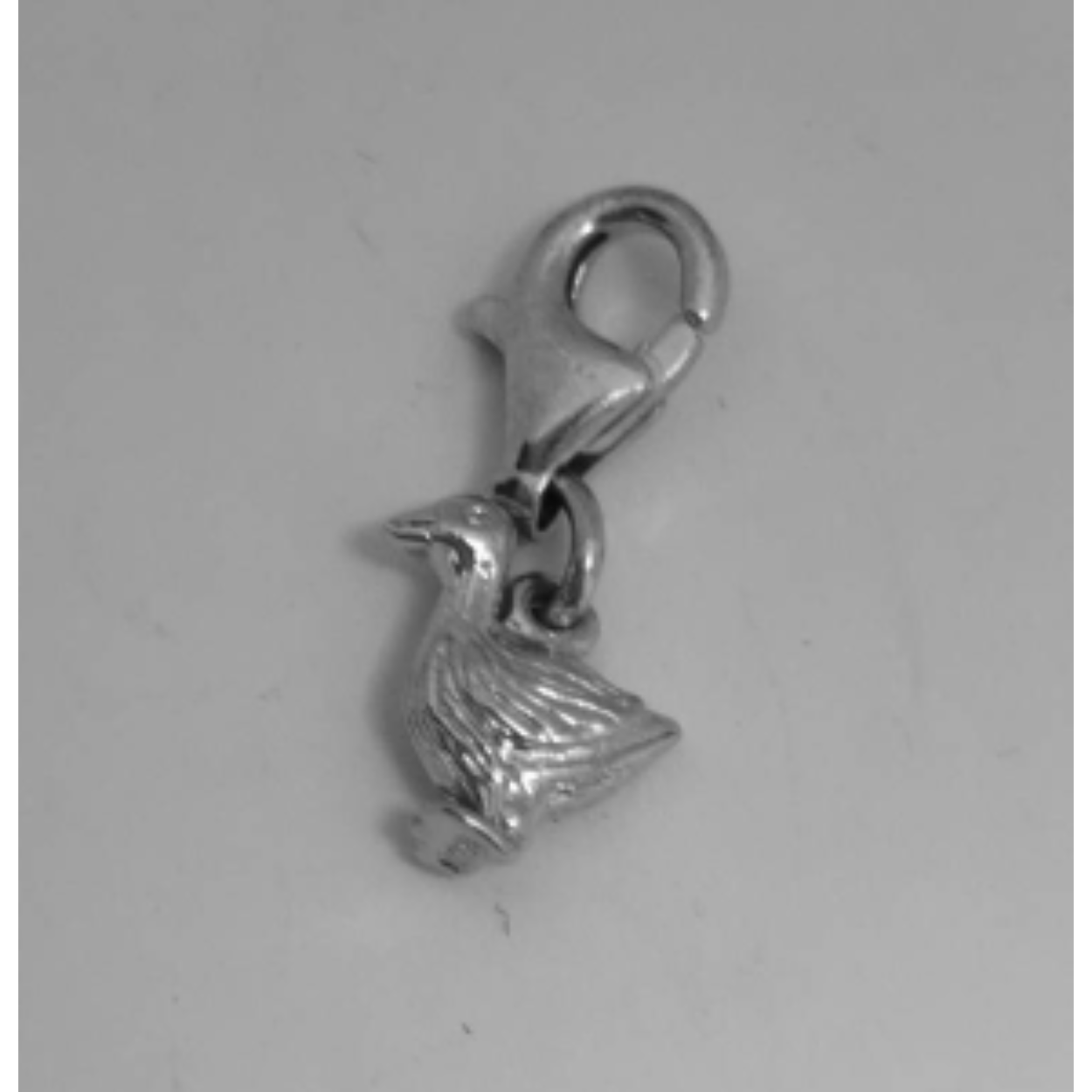 Zilveren hanger/bedel struisvogel