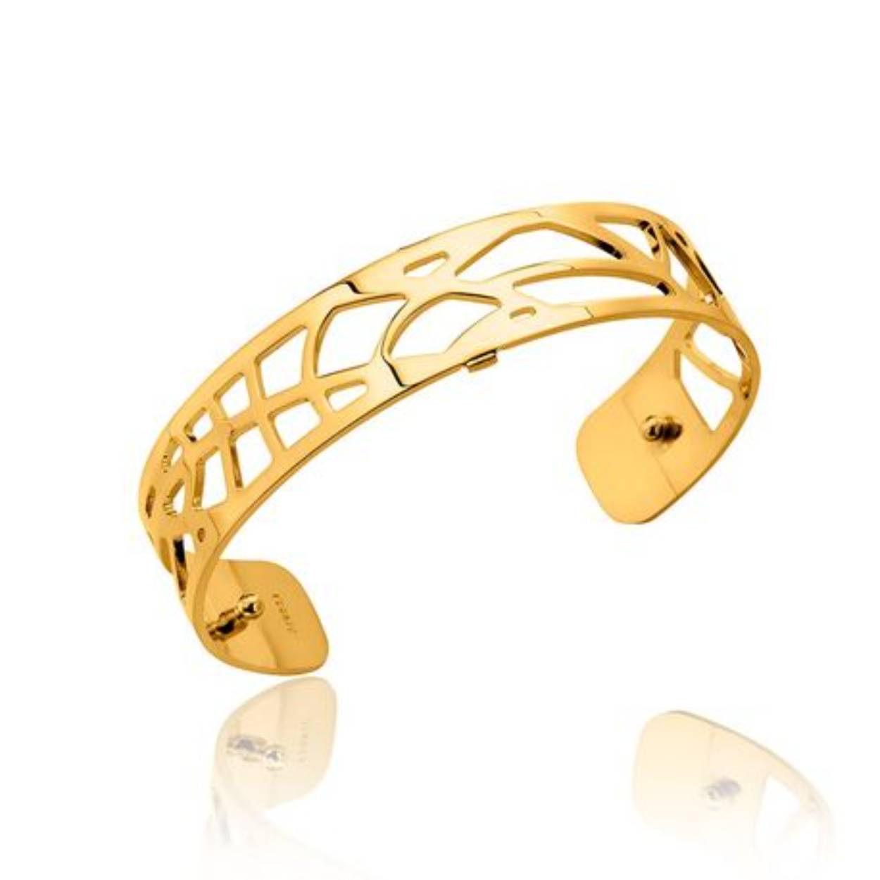 Prachtig sieraad van Les Georgettes
Grootte maat!!!!