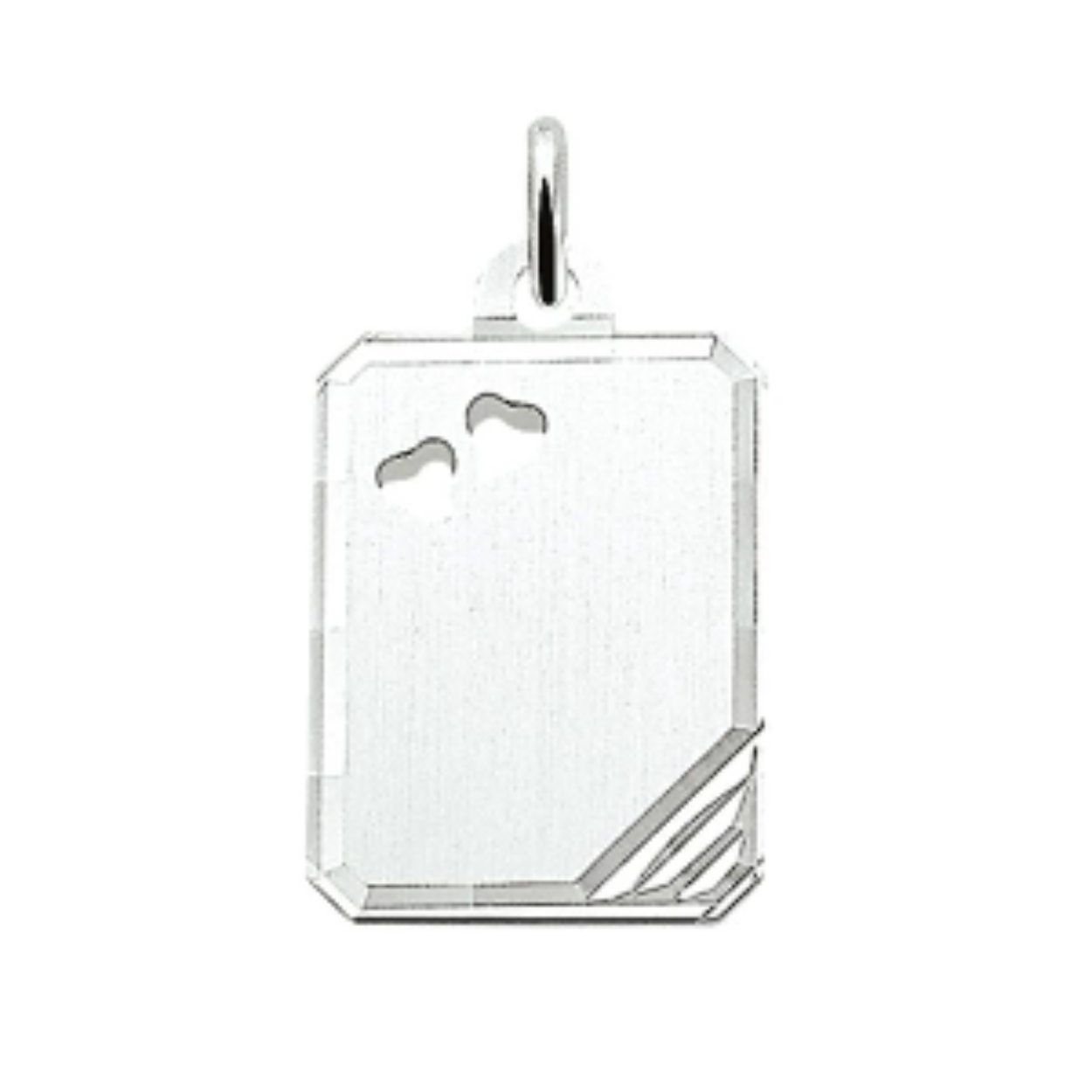 zilveren graveerplaat