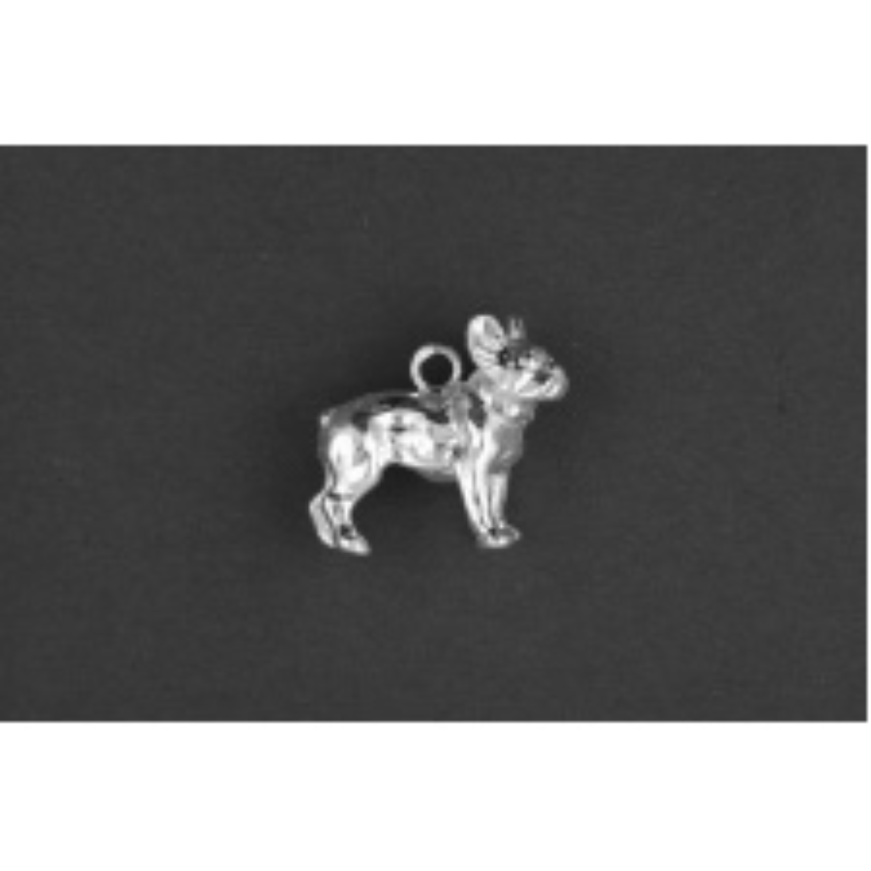 Franse buldog