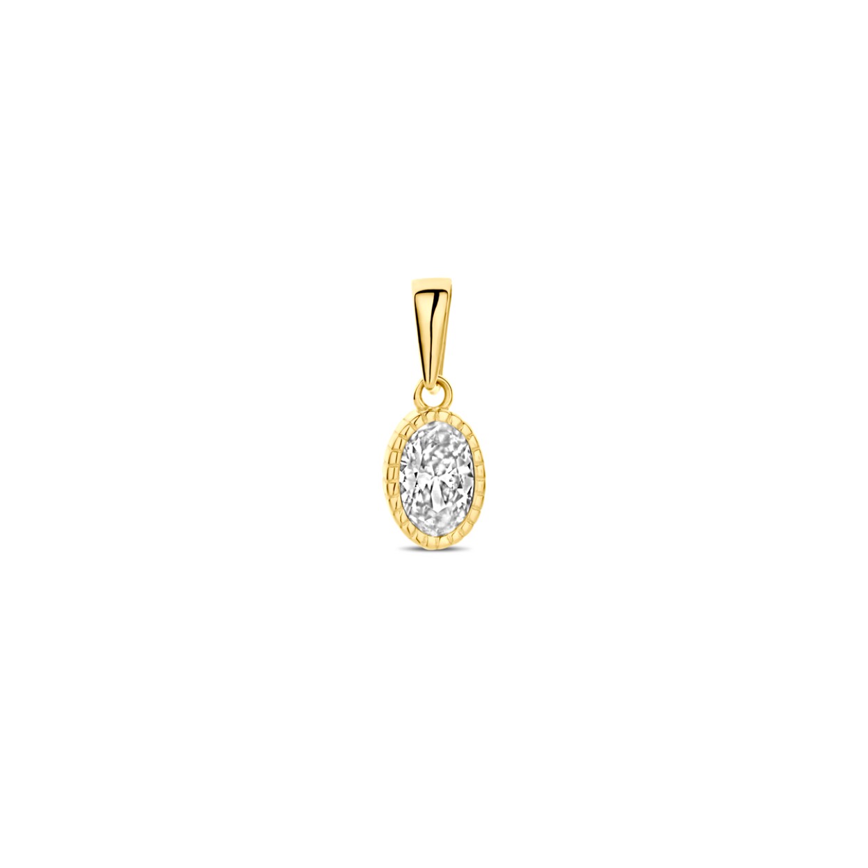 14k Geelgouden hanger uitgevoerd met zirkonia. De hanger heeft een totale hoogte van 13.5mm.