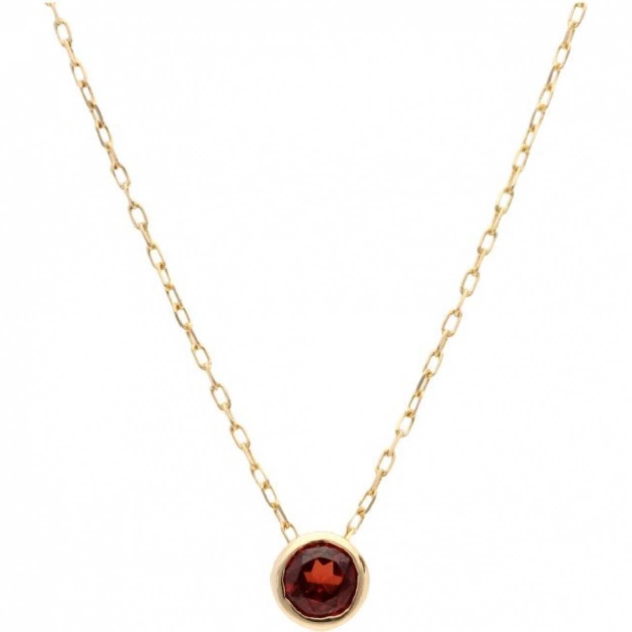 Deze Swing Jewels C-K14-W1327-GR 14k gouden geboortesteen ketting voor de maand januari heeft haar eigen kracht en past bij de maand waarin jij geboren bent. Elke maand heeft zijn eigen edelsteen. De geboortesteen van de maand januari is een dieprode granaat. De granaat wordt symbolisch gekoppeld aan het oplossen van blokkades en het geven van zelfvertrouwen. Leuk om meerdere geboortekettingen samen te dragen van bijvoorbeeld jezelf en je kindje of geliefde. 