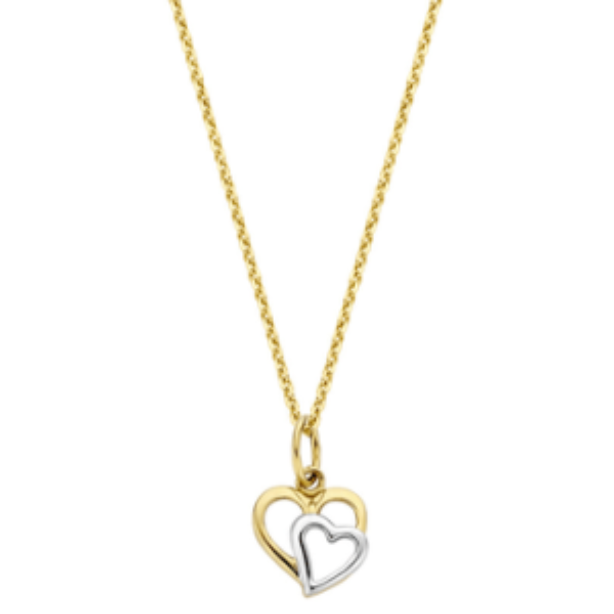 14 karaats gouden hanger Rosa di luca