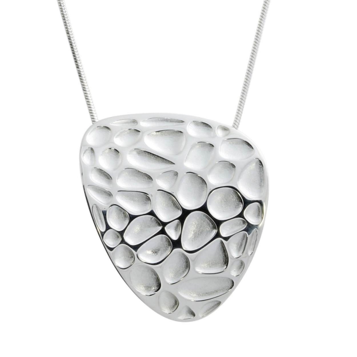 Een zilveren hanger inclusief collier