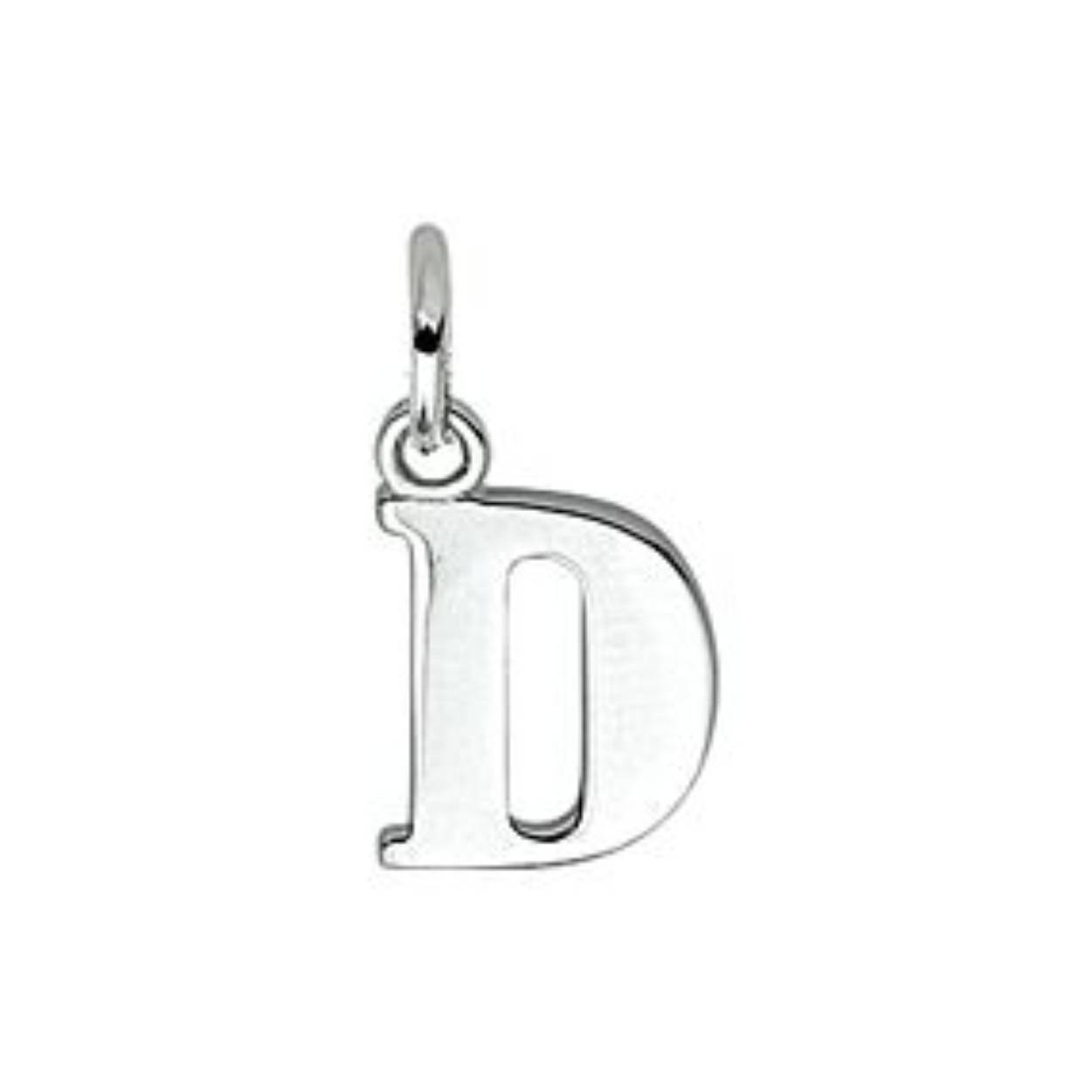 zilveren hanger letter D