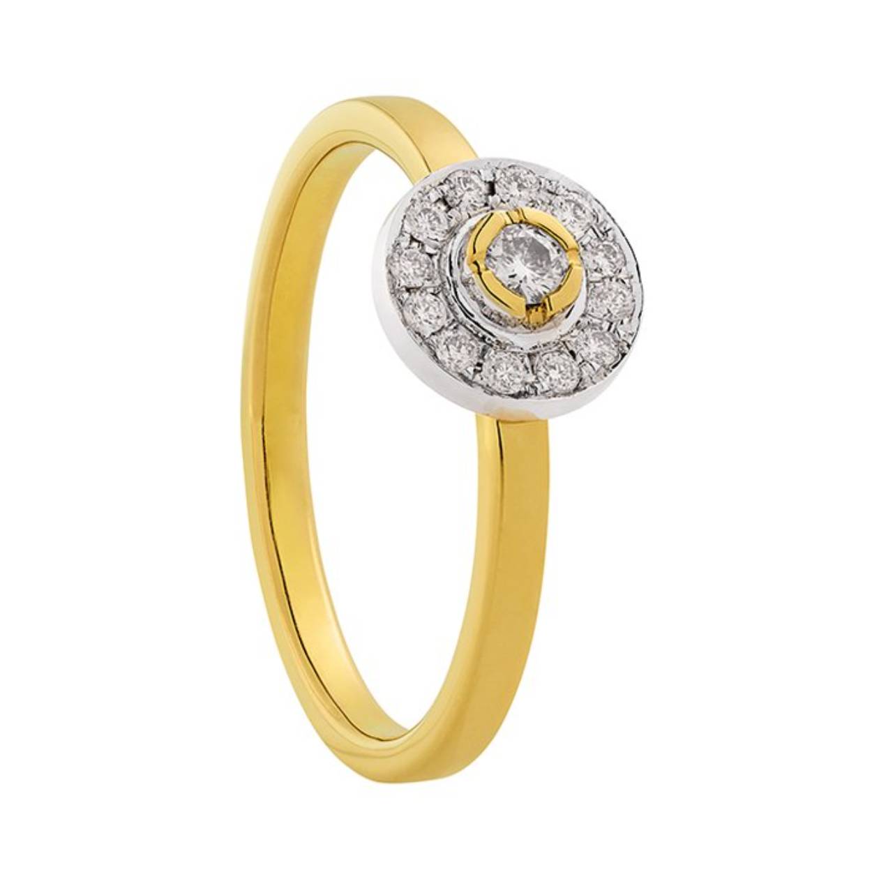 Eclat 14krt entourage ring Amore