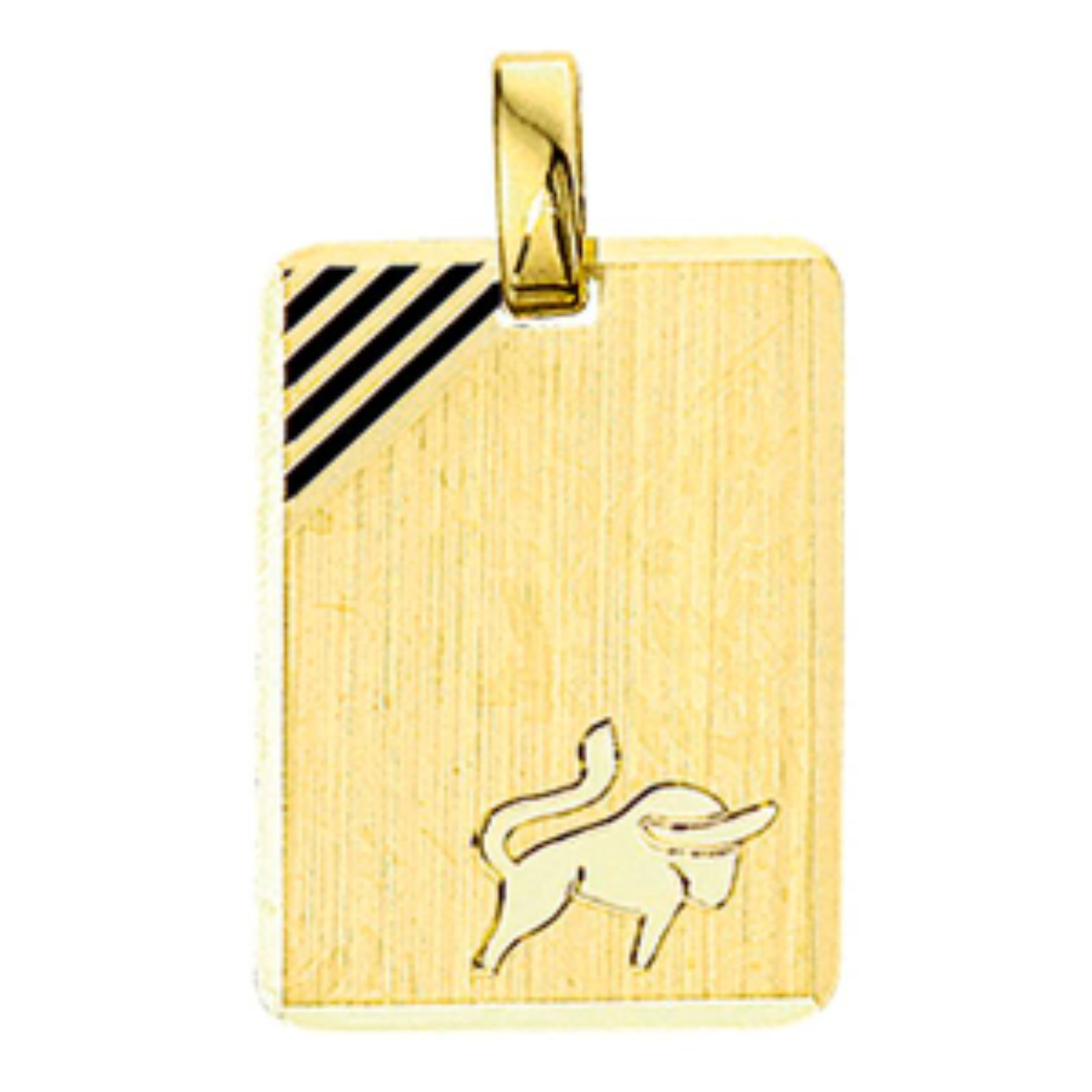 Goud graveerhanger met sterrenbeeld stier 19x14 mm.