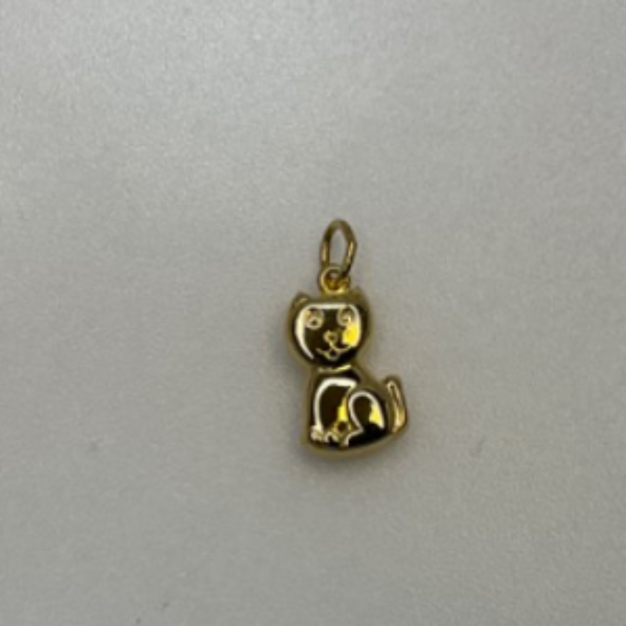 Gouden bedel poes