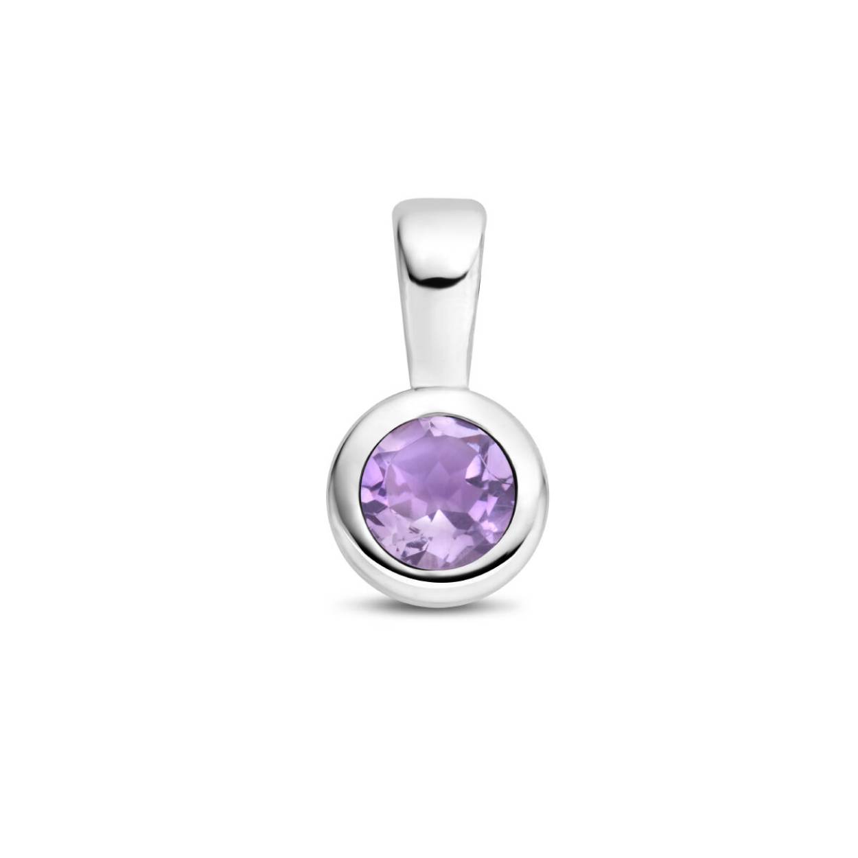 Gerhodineerd 925 geboortesteen zilveren hanger uitgevoerd met een schitterende amethyst. De hanger heeft een afmeting van 11x5.5mm. De amethyst heeft een steengewicht van 0.26ct.