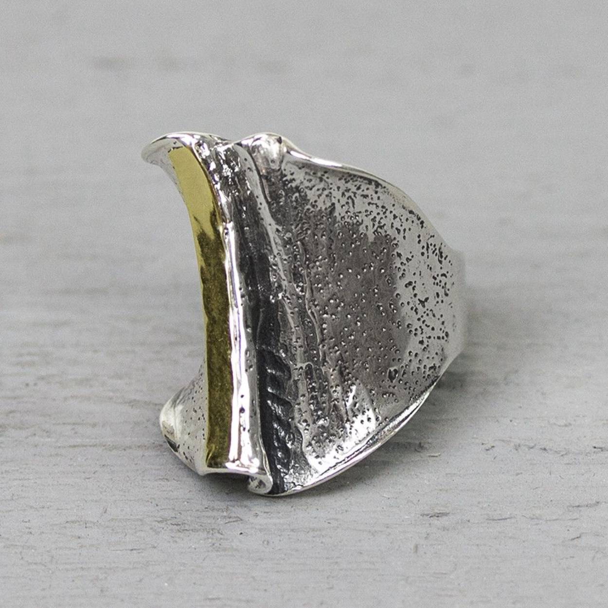 Ring gemaakt van 925 sterling zilver en geoxideerd zilver. De ring is aan de voorkant breder dan aan de achterkant. Aan de voorkant zit een verticale bang van 9 karaat.