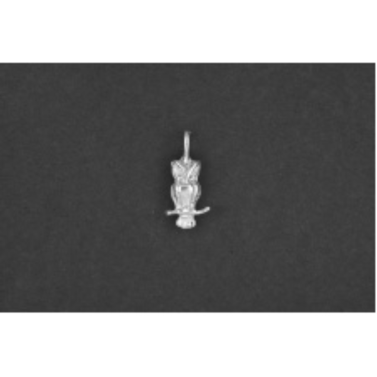 Uiltje zilver
De bedel maat is in mm Lengte x Hoogte
± L 8.11 x H 17.88