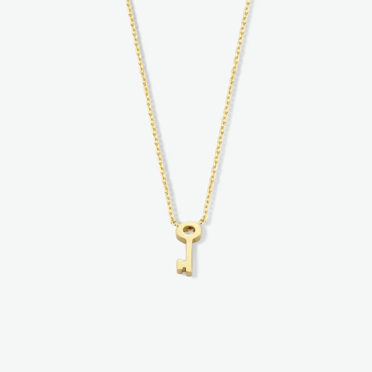 14k Geelgouden collier uitgevoerd met een hanger in de vorm van een sleutel. Het collier heeft draaglengtes van 42 en 45cm. De sleutel heeft een afmeting van 8x3.5mm