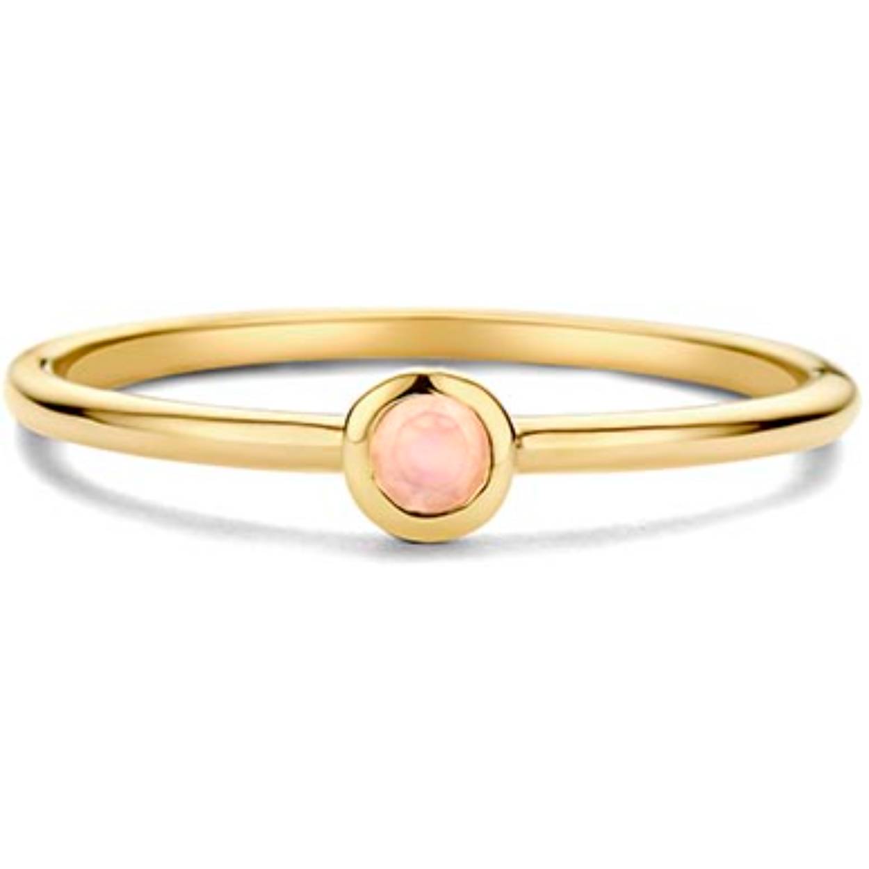 Birthstone ring 14 kt SWBR01JUN-Y-54 maansteen maand juni maat 54