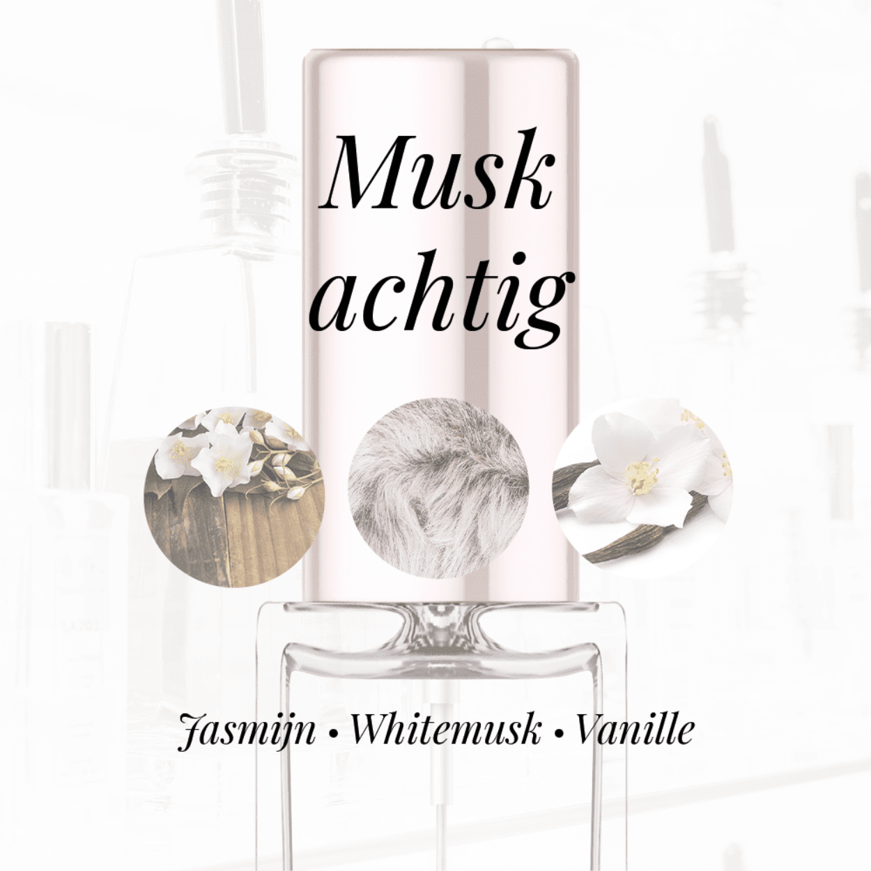 Eigenschappen
Geur: Muskachtig
Waarneembare geuren: Jasmijn, Vanille, White Musk
Sillage: Zwaar
Seizoen: All season
Eigenschap: Geraffineerd
Stijl: Elegant
Geurgroep: Bloemig Chypre
Hoofdakkoorden: Muskusachtig, Witte bloemen, Patchouli, Vanille, Poederig
Top noten: Roze peper
Midden noten: Jasmijn en Iris
Basis noten: Patchouli, Vanille en Muskus
