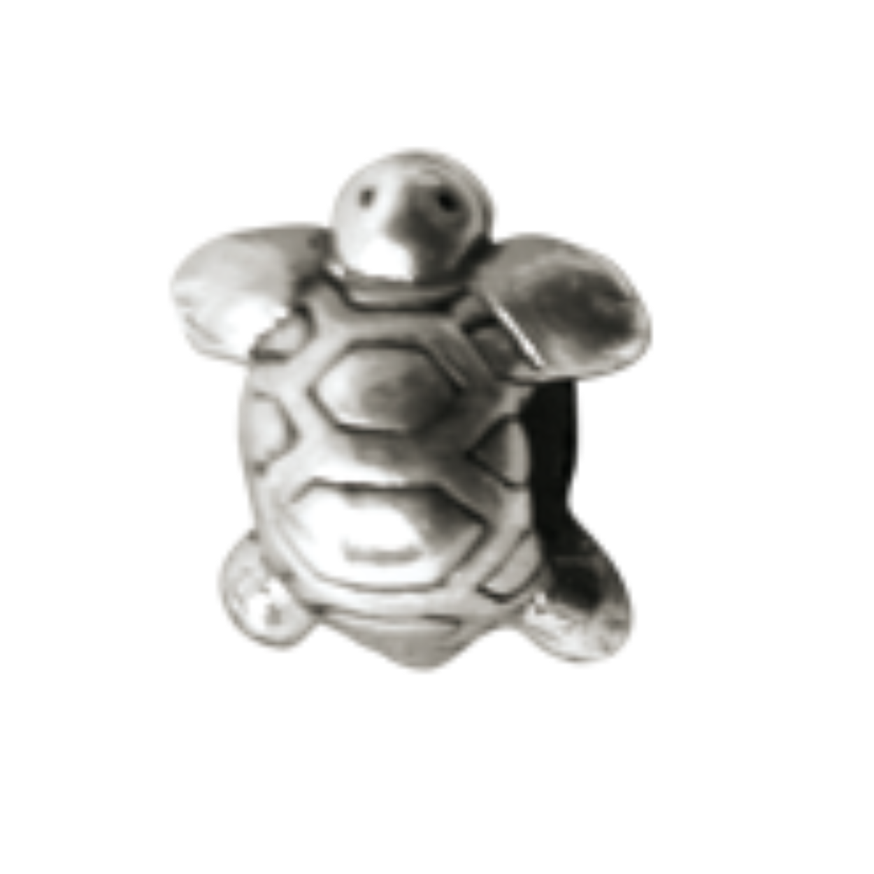 Bedel zilver schildpad