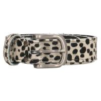 De Hide & Stitches El Paso riem - 921 Cheetah is gemaakt van hoogwaardig materiaal en heeft een stoere luipaardprint. De riem is verstelbaar en heeft een stevige gesp. Draag hem om je taille om een statement te maken of draag hem losjes om je heupen voor een casual en trendy look. Voeg deze riem toe aan je collectie voor een vleugje stijl aan elke outfit.