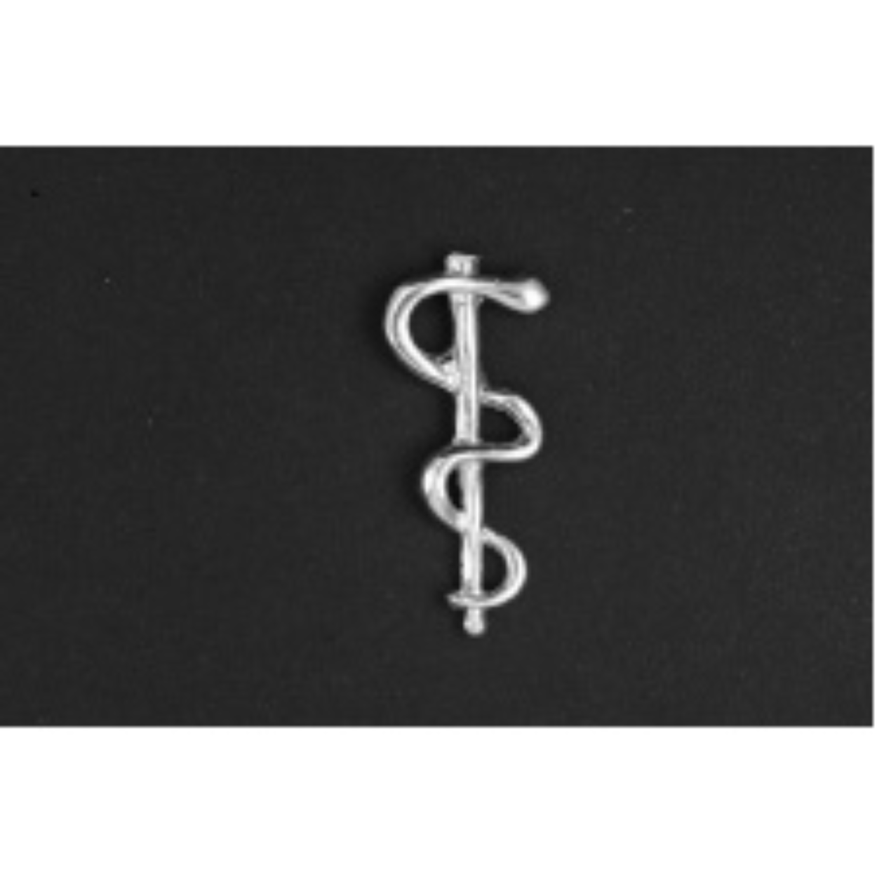Matser esculaap/medisch/slang met tak hanger zilver