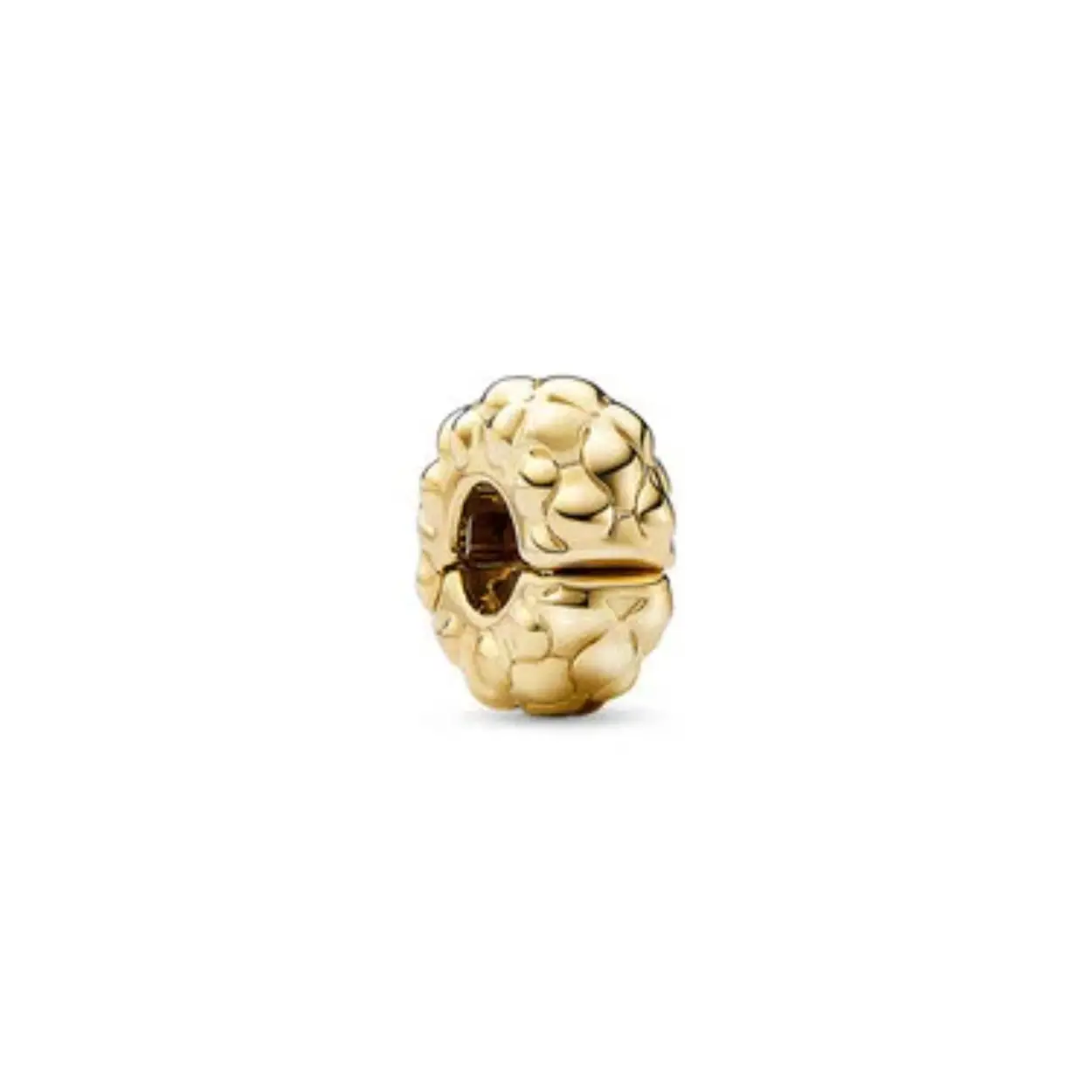 clip verguld goud