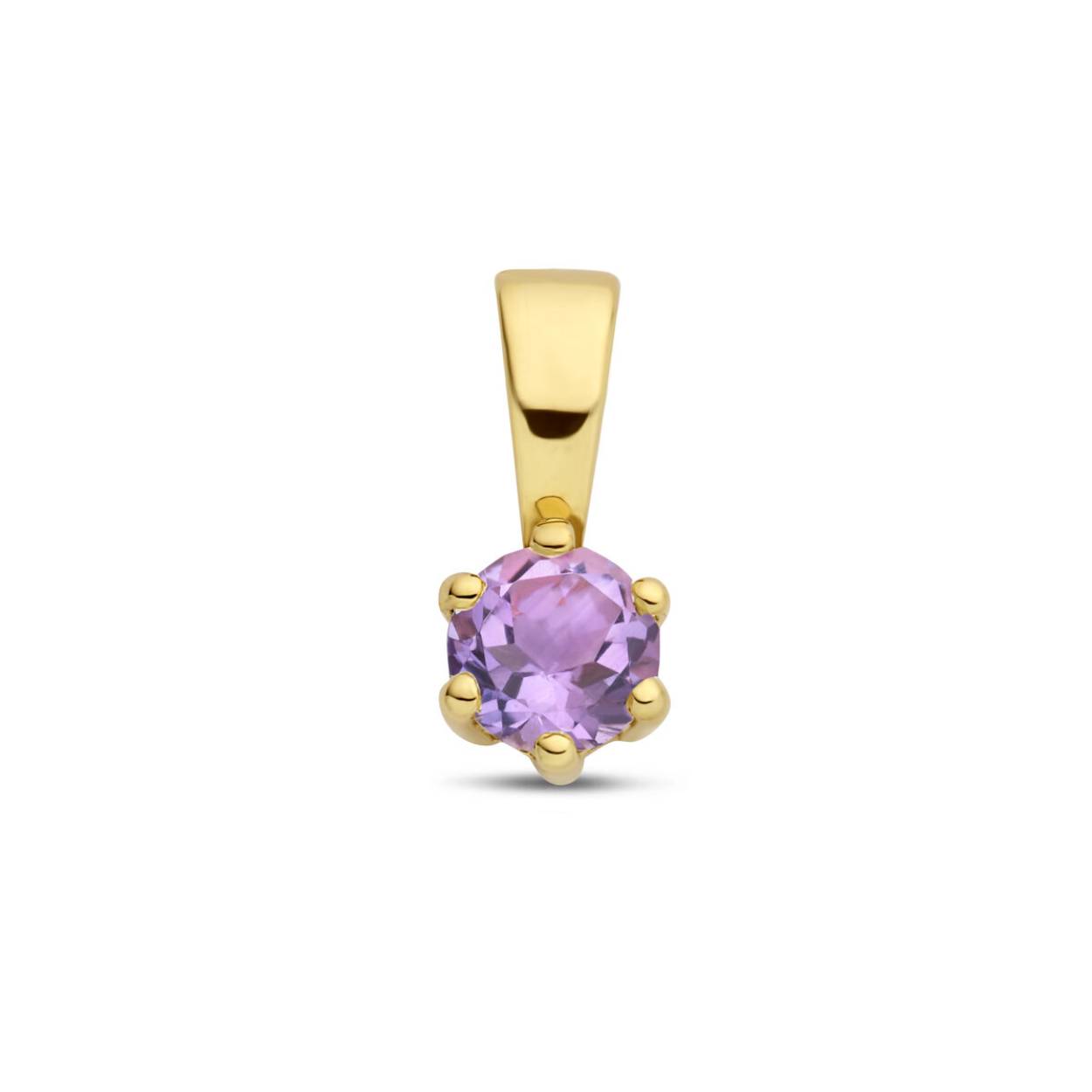 14k Geelgouden geboortesteen hanger uitgevoerd met een schitterende amethist. De hanger heeft een afmeting van 9.5x4.2mm.