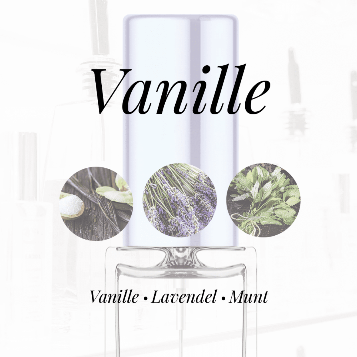 Eigenschappen
Geur: Vanille
Waarneembare geuren: Lavendel, Munt, Vanille
Sillage: Zwaar
Seizoen: Herfst/Winter
Eigenschap: Charmant
Stijl: Casual
Geurgroep: Oriëntaals Fougere
Hoofdakkoorden: Aromatisch, Fris kruidig, Vanille, Warm kruidig, Groen
Top noten: Artemisia dracunculus, Lavendel, Munt, Bergamot en Kardemom
Midden noten: Karwijzaad, Oranjebloesem en Kaneel
Basis noten: Sandelhout, Tonkaboon, Amber, Vanille en Ceder