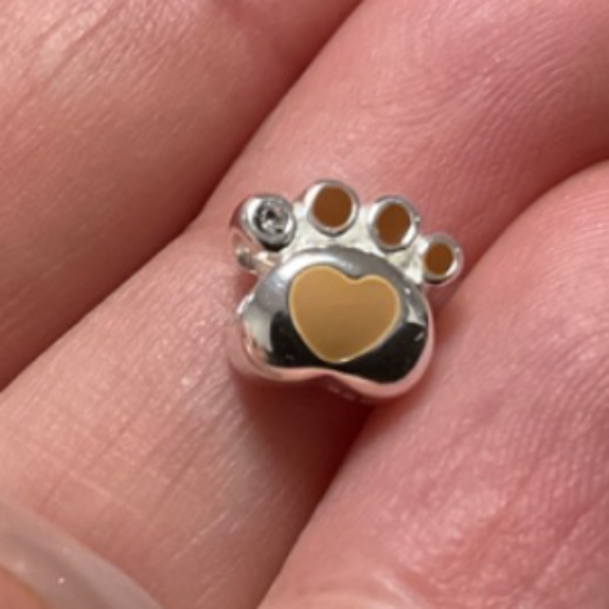 Honden pootje bellini voor bedel voor armband 