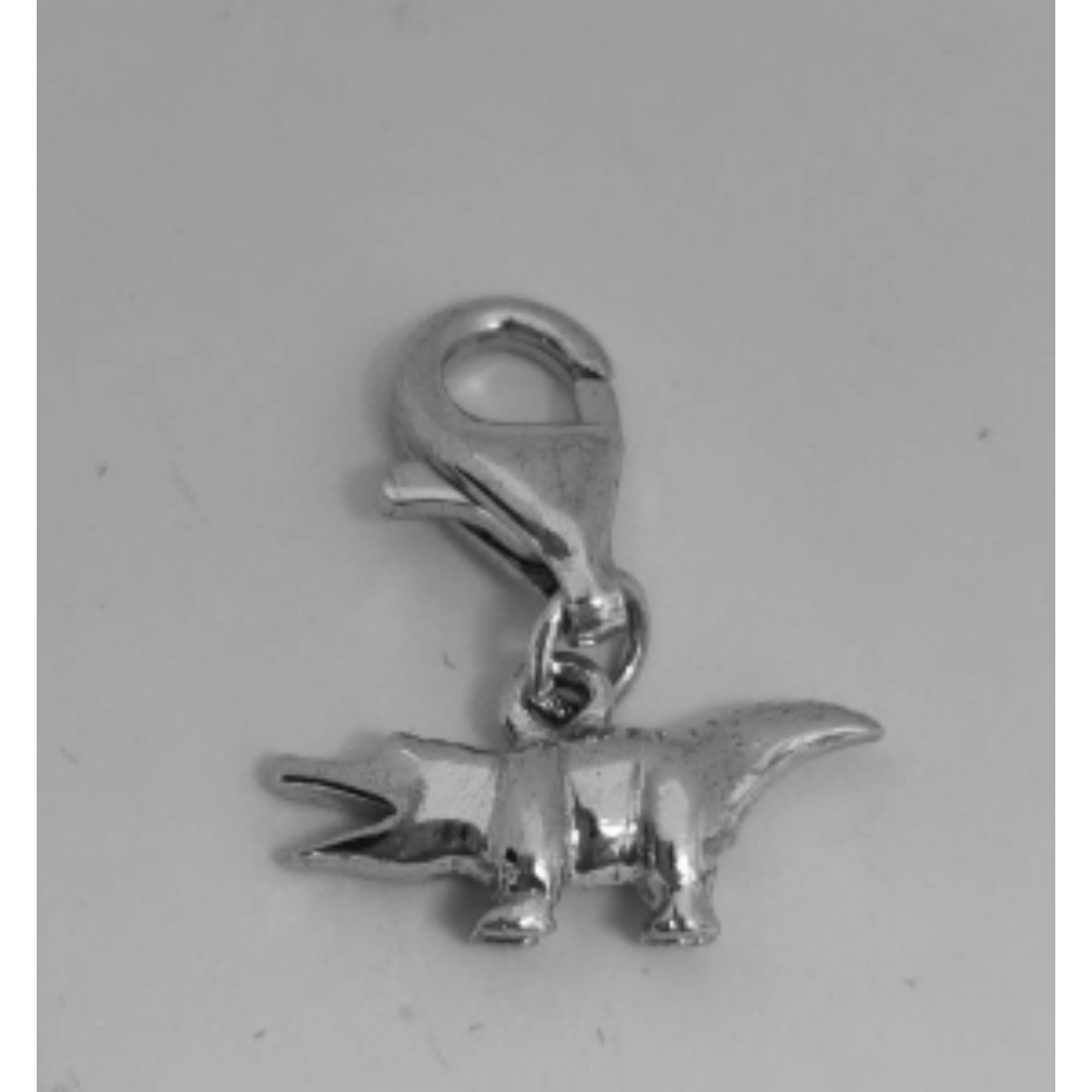 Zilveren hanger/bedel krokodil