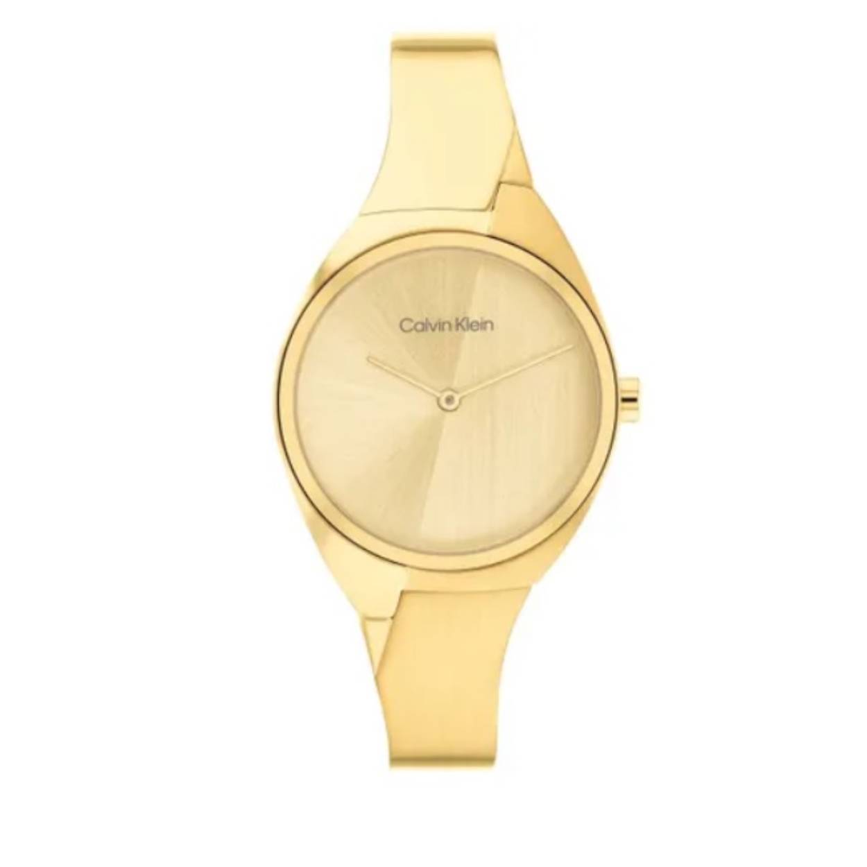 Calvin Klein CK25200235 Charming Dames Horloge
