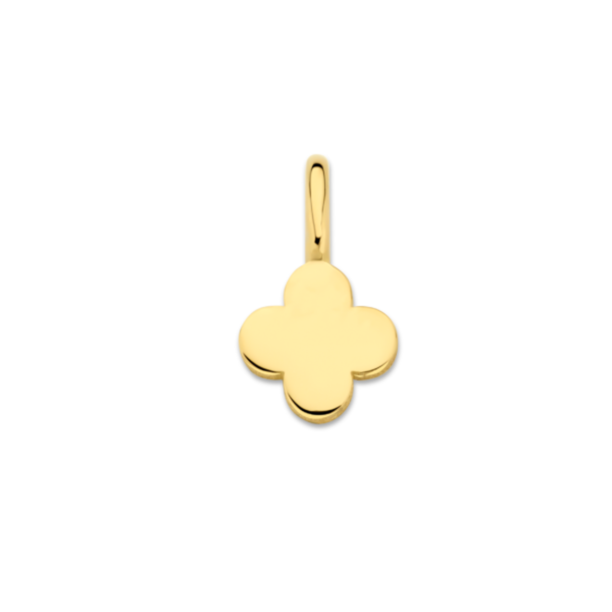 14kt. Geelgouden hangleaf dicht