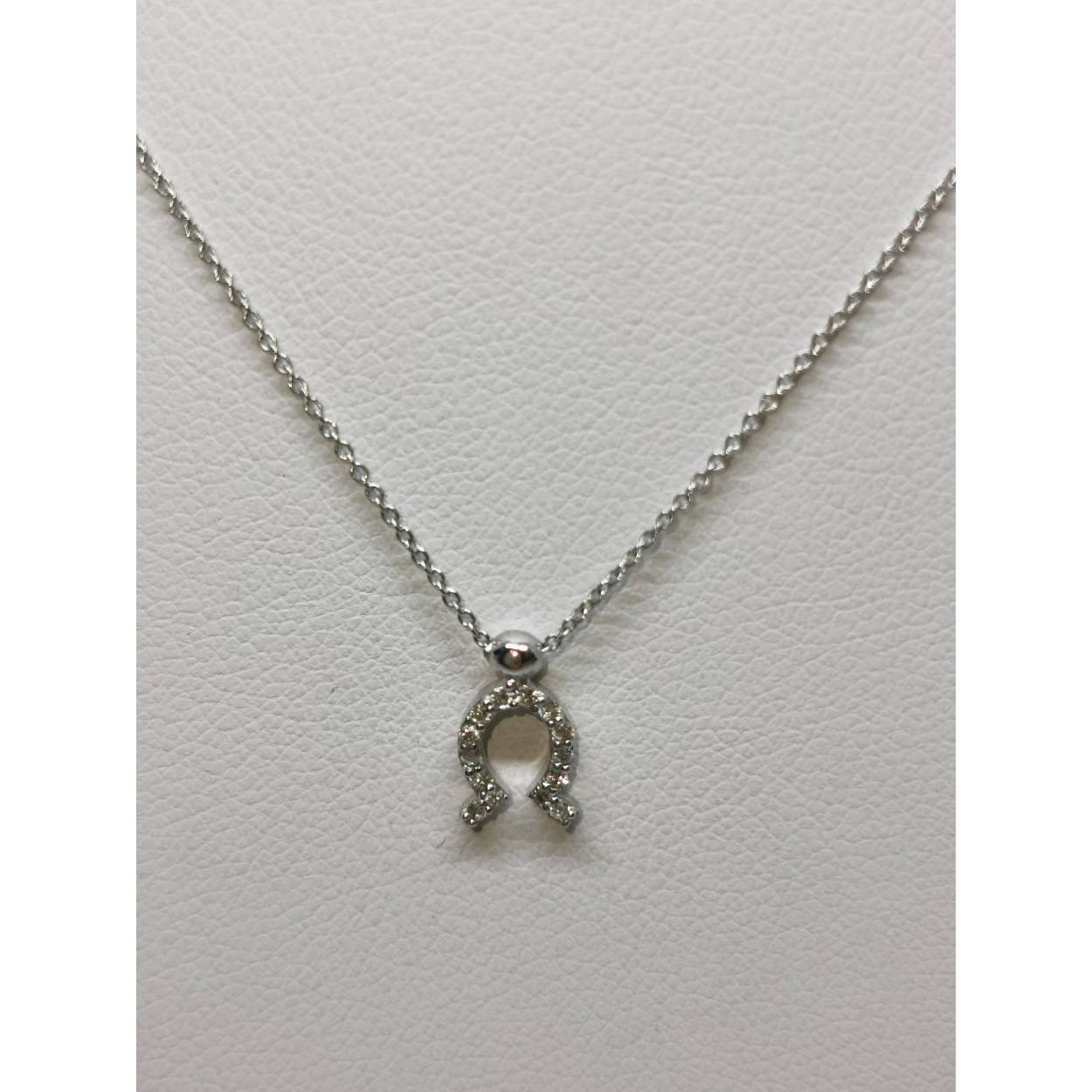 18 karaat wit gouden collier met hanger hoefijzer diamant 

Diamant briljant geslepen 0.06 crt. vs-1
Lengte 42 cm 
1.62 gram