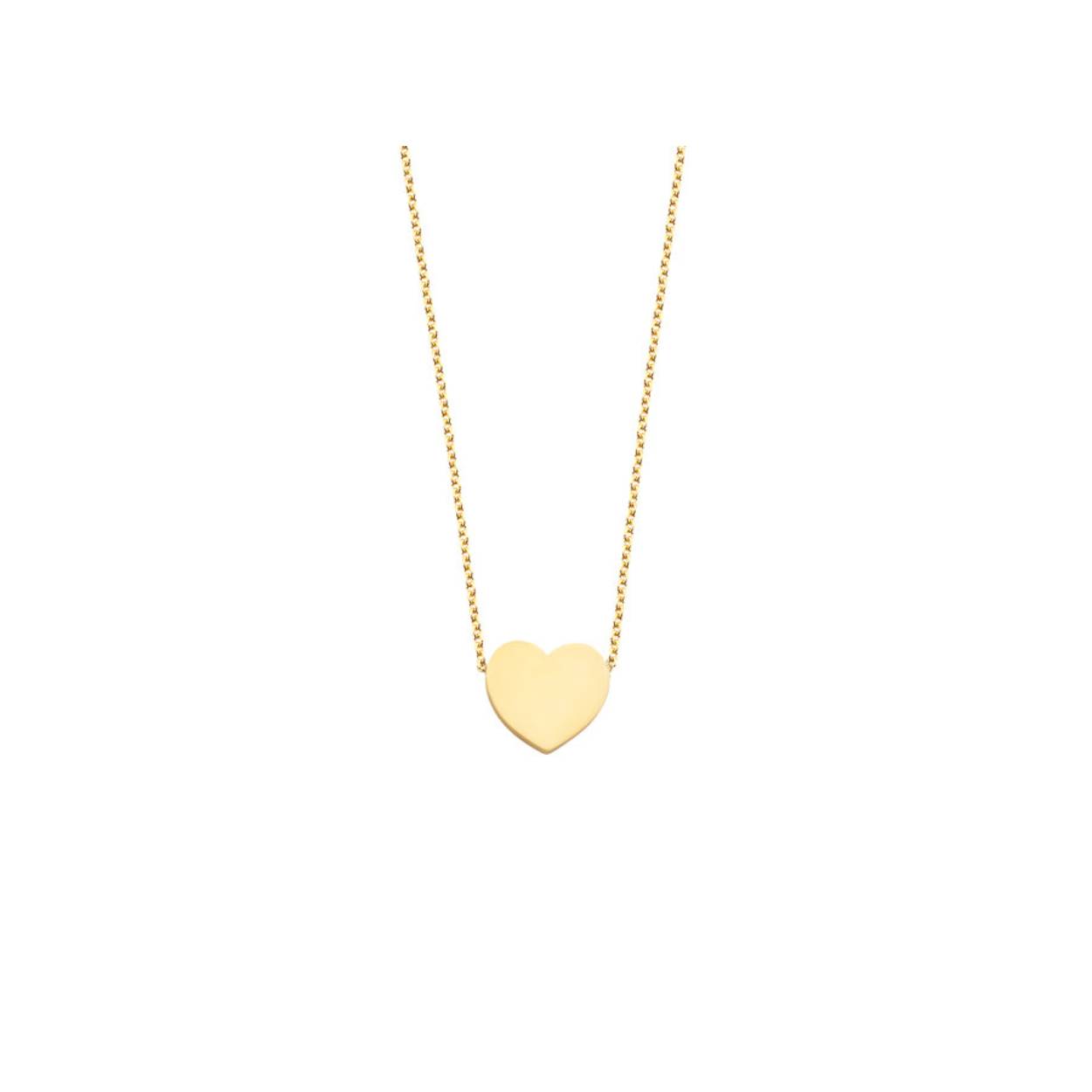 Met deze Just Franky Ashes Necklace Heart draag je jouw geliefde altijd dicht bij je hart. Deze ketting is verkrijgbaar in 14k massief geel-, wit- of rosé¨goud en kan worden gevuld met as.
ook is hij graveer baar.
