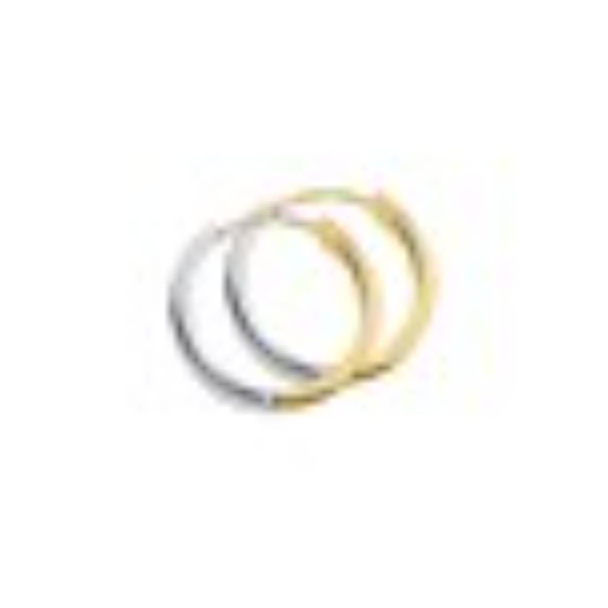 14k geel/wit gouden klapcreool,